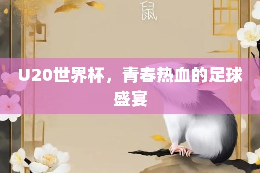 U20世界杯，青春热血的足球盛宴