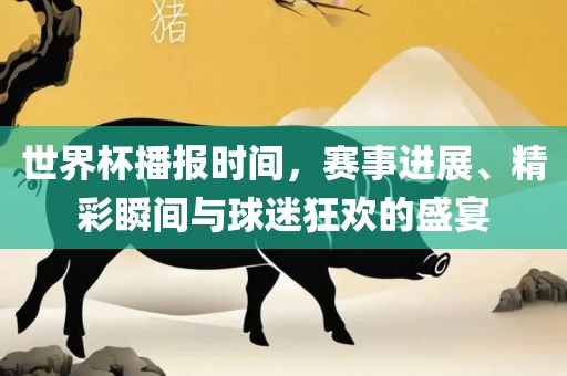 世界杯播报时间，赛事进展、精彩瞬间与球迷狂欢的盛宴