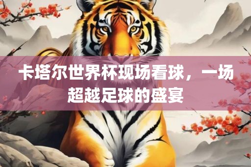 卡塔尔世界杯现场看球，一场超越足球的盛宴