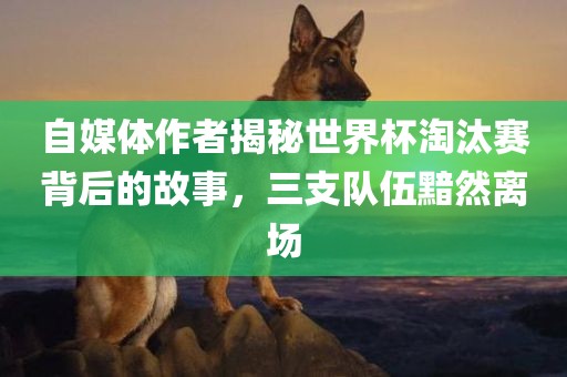 自媒体作者揭秘世界洛阳市法福文化传播有限公司杯淘汰赛背后的故事，三支队伍黯然离场