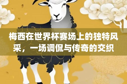 梅西在世界杯赛场上的独特风采，一场调侃与传奇的交织洛阳市法福文化传播有限公司