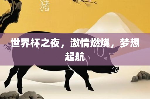 世界杯之夜，激情燃烧，梦想起航