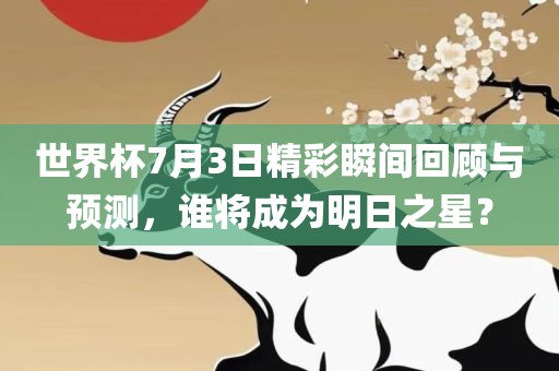 世界杯7月3日精彩瞬间回顾与预测，谁将成为明日之星？洛阳市法福文化传播有限公司