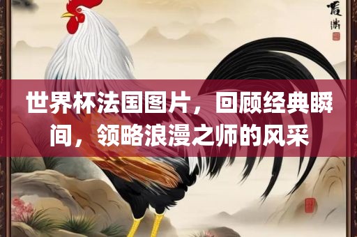 世界杯法国图片，回顾经典瞬间，领略浪漫之师的风采