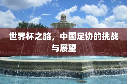 世界杯之路，中国足协的挑战与展望