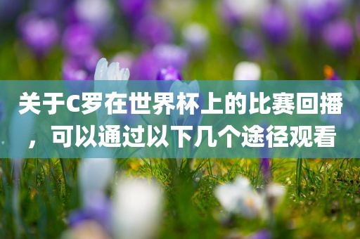 关于C罗在世界杯上的比赛回播，可以通过以下几个途径观看