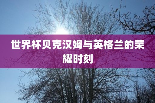 世界杯贝克汉姆与英格兰的荣耀时刻