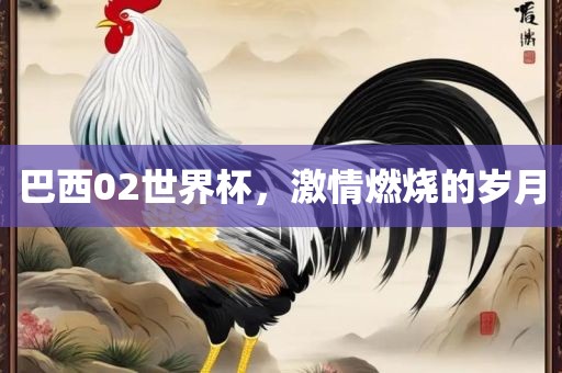 巴西02世界杯，激情燃烧的岁月洛阳市法福文化传播有限公司