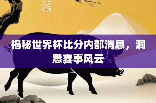 揭秘世界杯比分内部消息，洞悉赛事风云