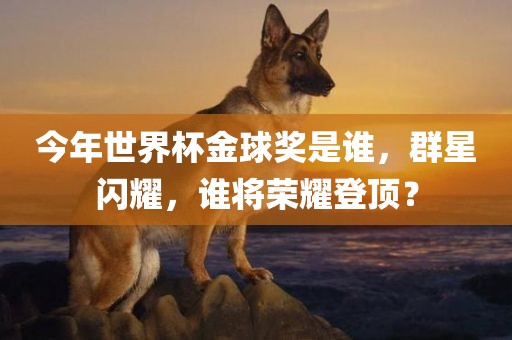 今年世界杯金球奖是谁，群星闪耀，谁将荣耀登顶？