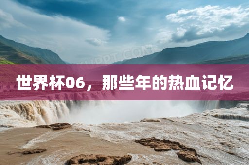 世界杯06，那些年的热血记忆