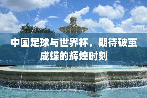 中国足球与世界杯，期待破茧成蝶的辉煌时刻洛阳市法福文化传播有限公司