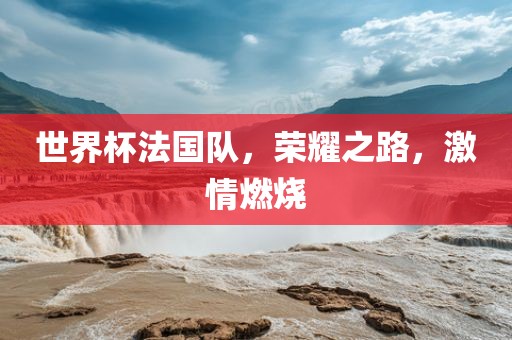 世界杯法国队，荣耀之路，激情燃烧