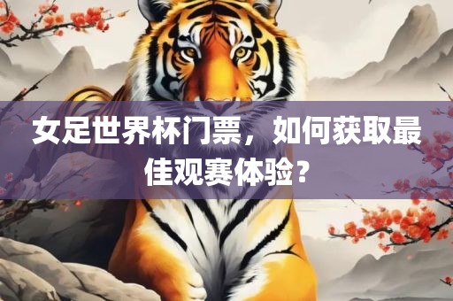 女足世界杯门票，如何获取最佳观赛体验？