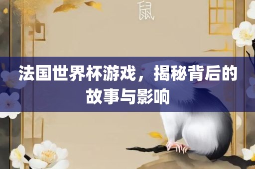 法国世界杯游戏，揭秘背后的故事与影响