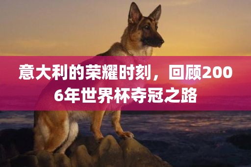 意大利的荣耀时刻，回顾2006年世界杯夺冠之路洛阳市法福文化传播有限公司