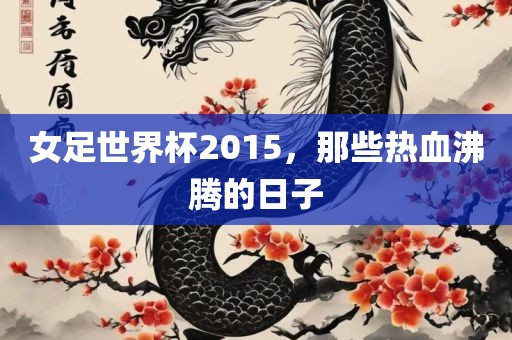 女足世界杯2015，那些热血沸腾的日子