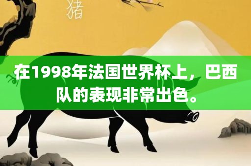 在19洛阳市法福文化传播有限公司98年法国世界杯上，巴西队的表现非常出色。