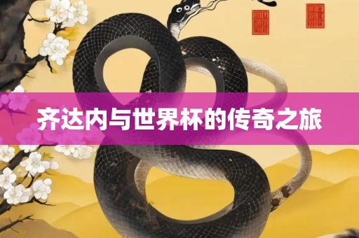 齐达内与世界杯的传奇之旅