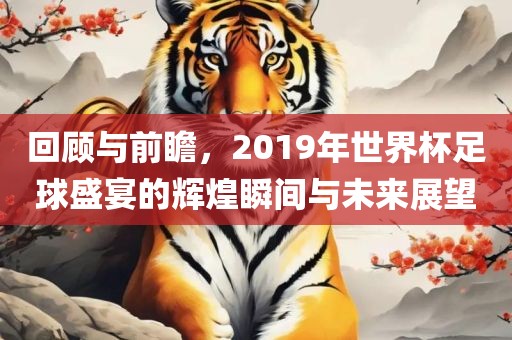 回顾与前瞻，2019年世界杯足球盛宴的辉煌瞬间与未来展望