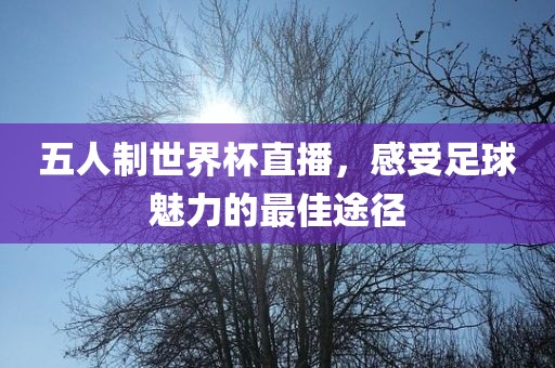 五人制世界杯直播，感受足球魅力的最佳途径