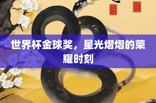 世界杯金球奖，星光熠熠的荣耀时刻