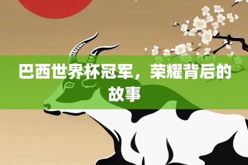 巴西世界杯冠军，荣耀背后的故事