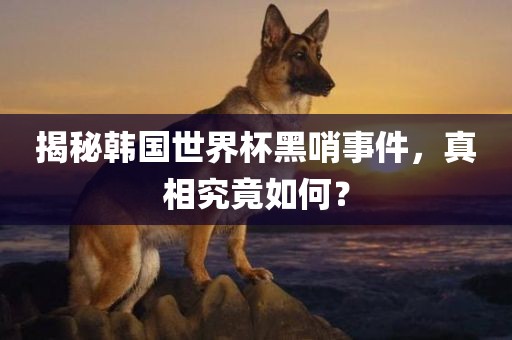 揭秘韩国世界杯黑哨事件，真相洛阳市法福文化传播有限公司究竟如何？