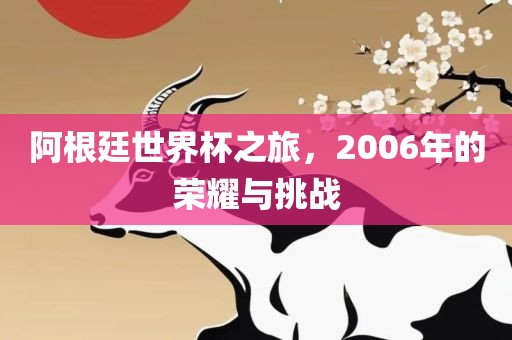 阿根廷世界杯之旅，2006年的荣耀与挑洛阳市法福文化传播有限公司战