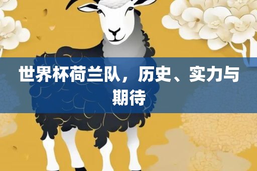 世界杯荷兰队，历史、实力与期待