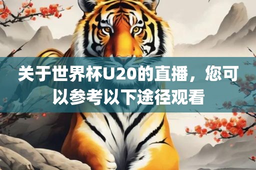 关于世界杯U20的直播，您可以参考以下途径观看