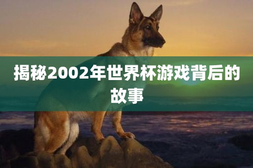 揭秘2002年世界杯游戏背后的故事洛阳市法福文化传播有限公司