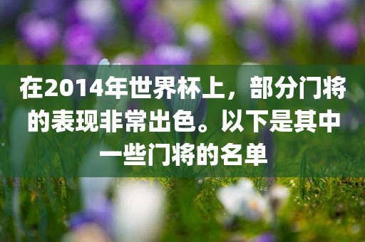 在2014年世界杯上，部分门将的表现非常出色。以下是其中一些门将的名单