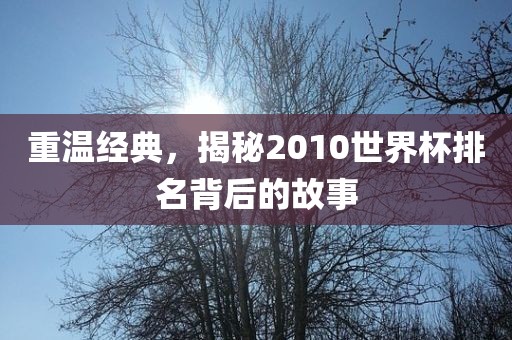 重温经典，揭秘2010世界杯排名背后的故事