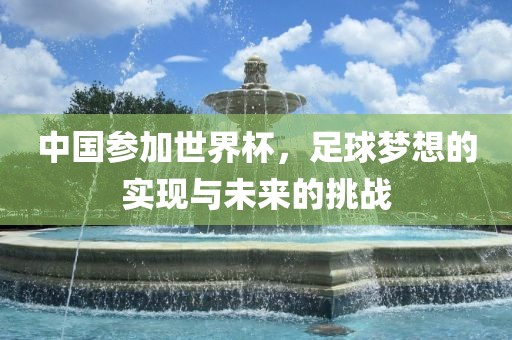 中国参加世界杯，足球梦想的实现与未来的挑战