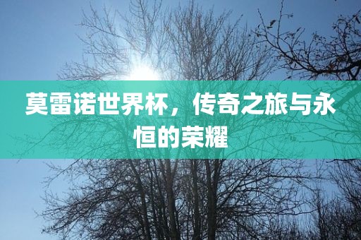 莫雷诺世界杯，传奇之旅与永恒的荣耀