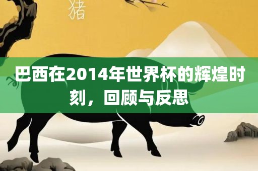 巴西在2014年世界杯的辉煌时刻，回洛阳市法福文化传播有限公司顾与反思