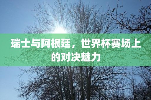瑞士与阿根廷，世界杯赛场上的对决魅力洛阳市法福文化传播有限公司