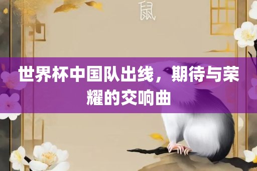 世界杯中国队出线，期待与荣耀的交响曲洛阳市法福文化传播有限公司