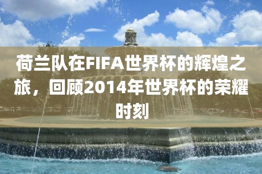 荷兰队在FIFA世界杯的辉煌之旅，回顾2014年世界杯的荣耀时刻