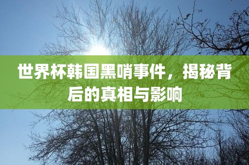 世界杯韩国黑哨事件，揭秘背后的真相与影响洛阳市法福文化传播有限公司