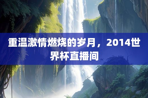 重温激情燃烧的岁月，2014世界杯直播间