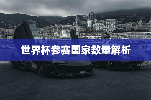 世界杯参赛国家数量解析洛阳市法福文化传播有限公司