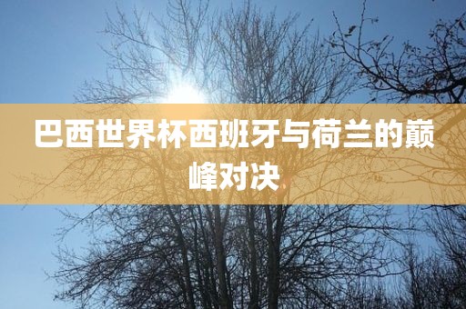 巴西世界杯西班牙与荷兰的巅峰对决