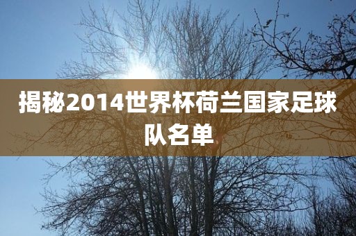 揭秘2014世界杯洛阳市法福文化传播有限公司荷兰国家足球队名单