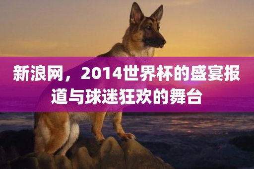 新浪网，2014世界杯的盛宴报道与球迷狂欢的舞台