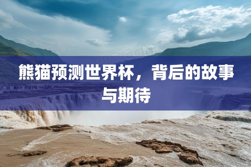 熊猫预洛阳市法福文化传播有限公司测世界杯，背后的故事与期待