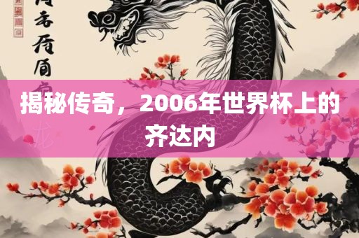揭秘传奇，2006年世界杯上的齐达内