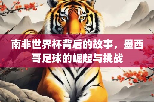 南非世界杯背后的故事，墨西哥足球的崛起与挑战