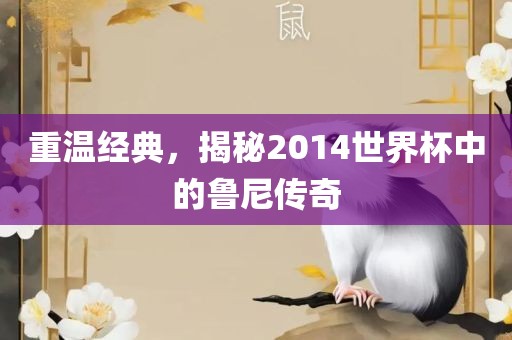 重温经典，揭秘2014世界杯中的鲁尼传奇